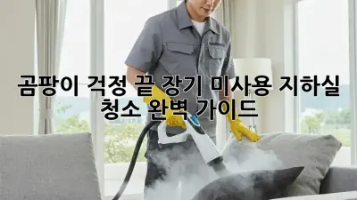 곰팡이 걱정 끝! 장기 미사용 지하실 청소 완벽 가이드