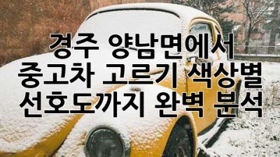 경주 양남면에서 중고차 고르기: 색상별 선호도까지 완벽 분석!