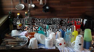 몬테라 설거지망 관리법: 오래오래 깨끗하게!